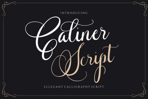 Caliner Script: A Elegant Font for Business