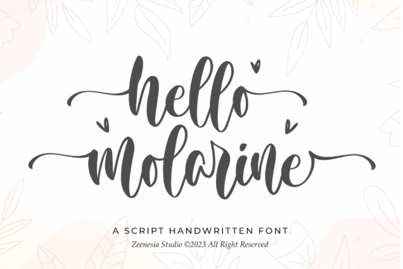 Hello Molarine Font: Elegant Script for Campaigns