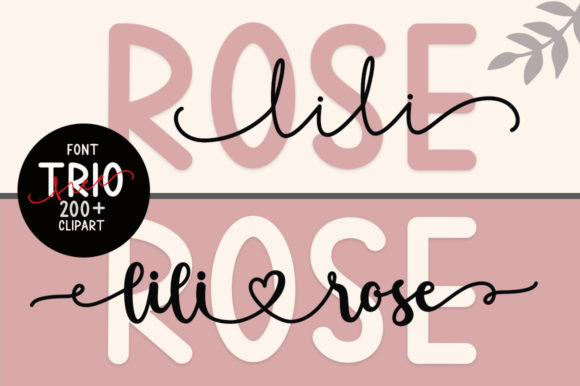 Lilirose Font Review