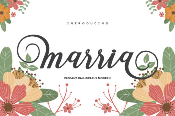 Marria Script: Elegant Display Font